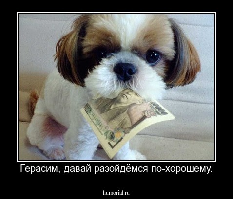 Герасим, давай разойдёмся по-хорошему.