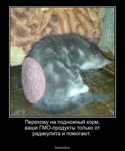 Перехожу на подножный корм, ваши ГМО-продукты только от радикулита и помогают. 