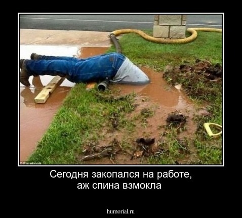Сегодня закопался на работе, аж спина взмокла