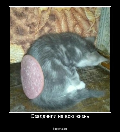 Озадачили на всю жизнь