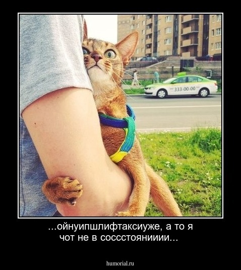 ...ойнуипшлифтаксиуже, а то я чот не в соссстоянииии...
