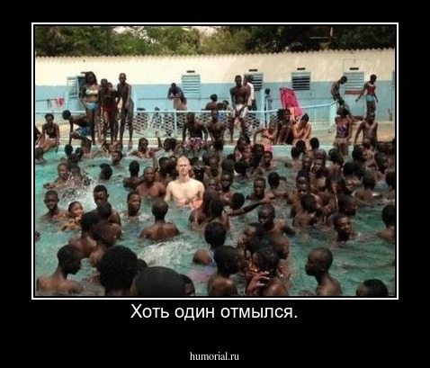 Хоть один отмылся.