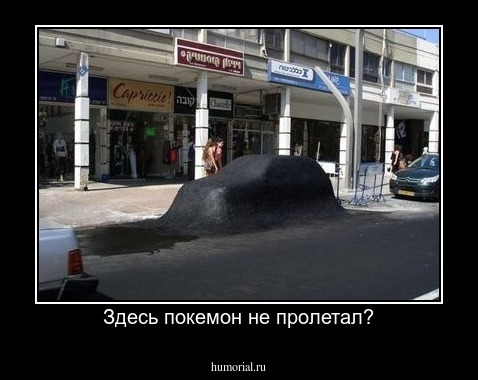 Здесь покемон не пролетал?