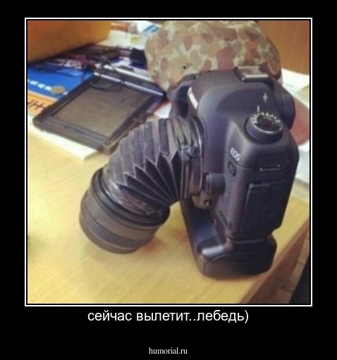сейчас вылетит..лебедь)