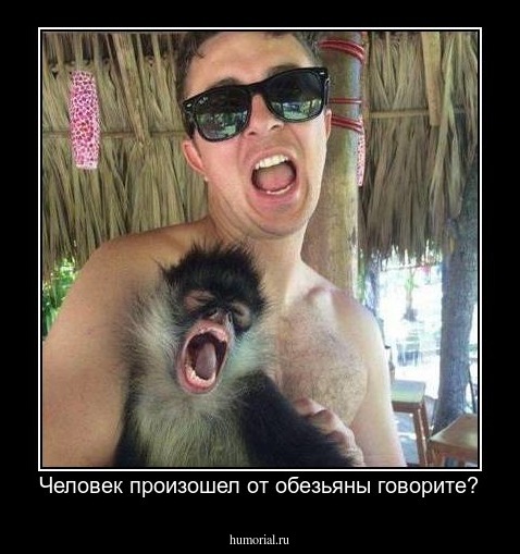 Человек произошел от обезьяны говорите?