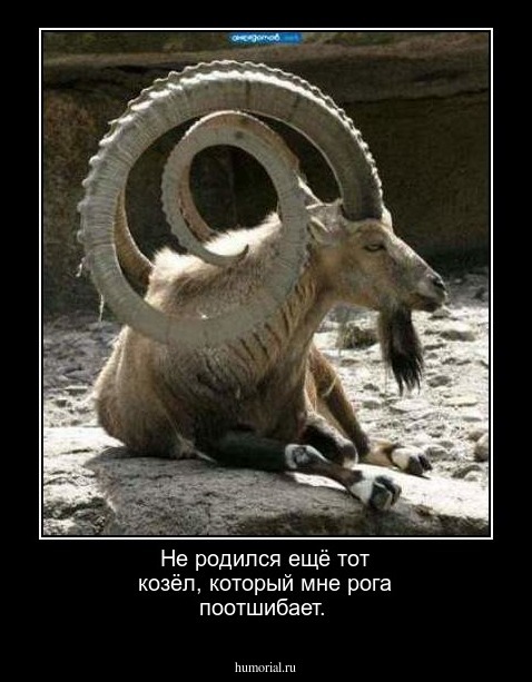 Не родился ещё тот козёл, который мне рога поотшибает.