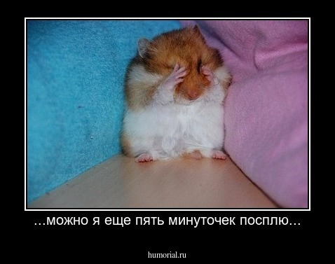 ...можно я еще пять минуточек посплю...