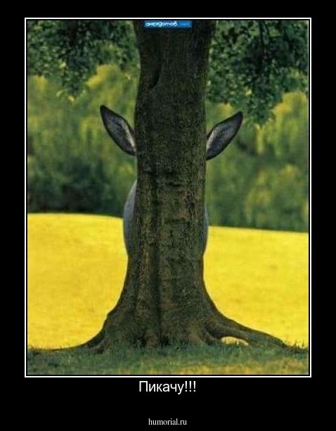 Пикачу!!!