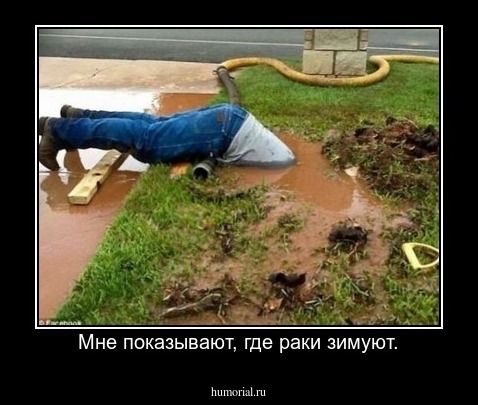 Мне показывают, где раки зимуют.