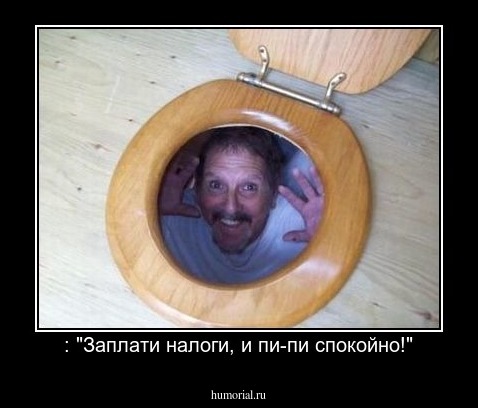 : "Заплати налоги, и пи-пи спокойно!"