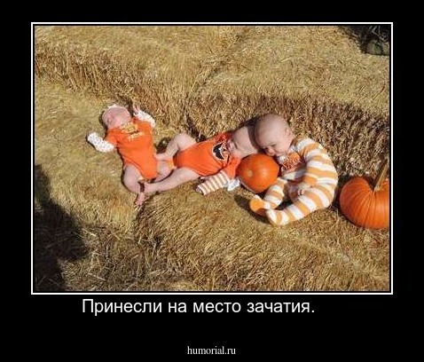Принесли на место зачатия.     