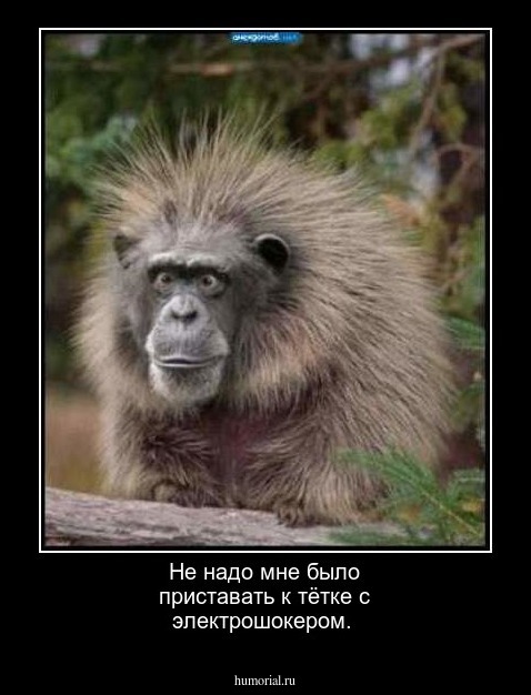 Не надо мне было приставать к тётке с электрошокером.      