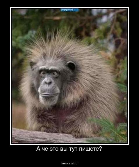 А че это вы тут пишете?