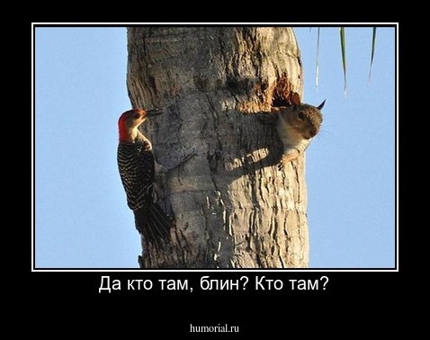 Да кто там, блин? Кто там?