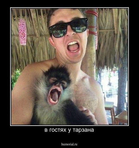 в гостях у тарзана