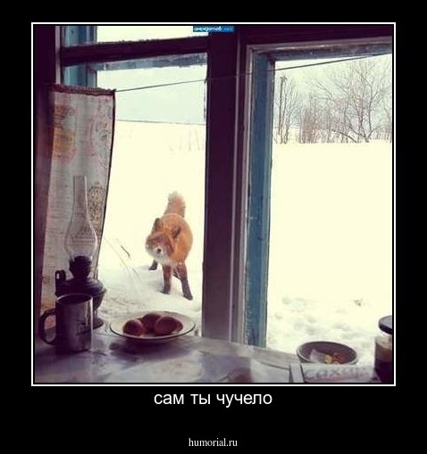 сам ты чучело