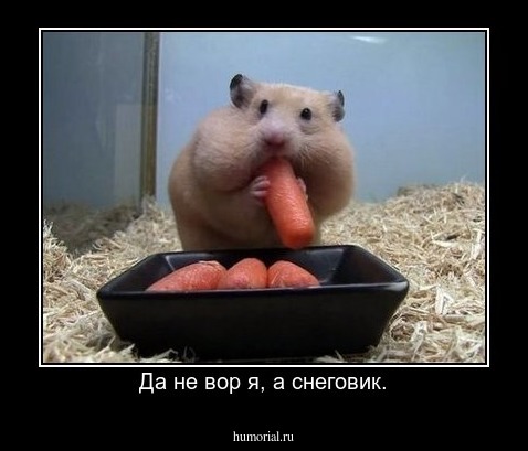 Да не вор я, а снеговик.