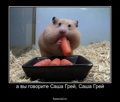 а вы говорите Саша Грей, Саша Грей