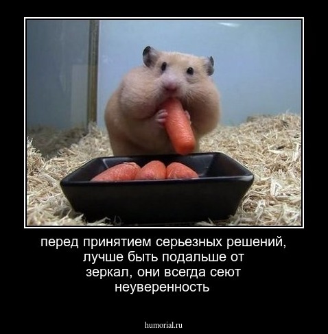 перед принятием серьезных решений, лучше быть подальше от зеркал, они всегда сеют неуверенность