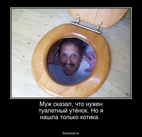 Муж сказал, что нужен туалетный утёнок. Но я нашла только котика.