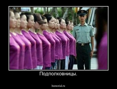 Подполковницы.