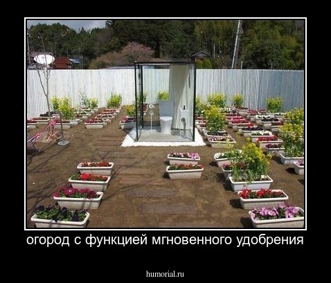огород с функцией мгновенного удобрения
