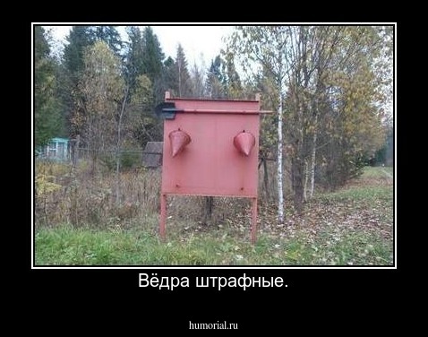 Вёдра штрафные.