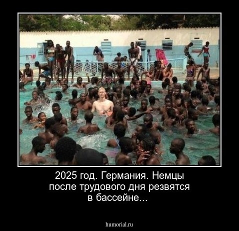 2025 год. Германия. Немцы после трудового дня резвятся в бассейне...