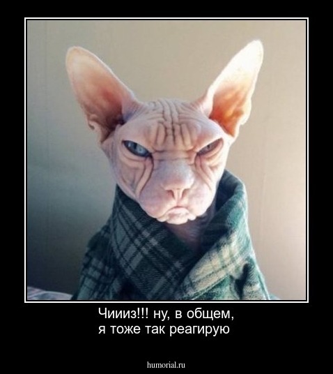 Чиииз!!! ну, в общем, я тоже так  реагирую