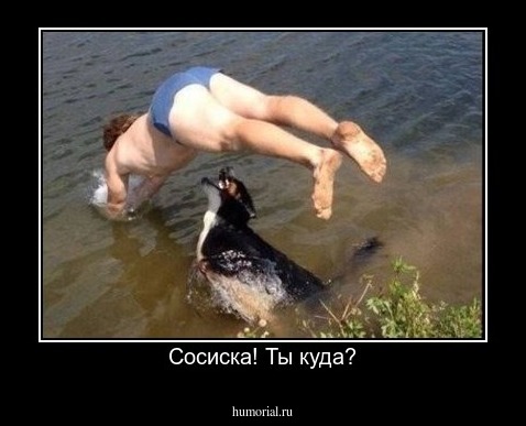 Сосиска! Ты куда?