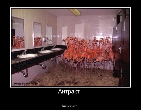 Антракт. 
