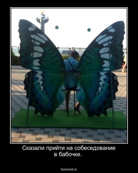 Сказали прийти на собеседование в бабочке.