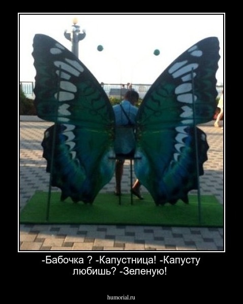  -Бабочка ?
 -Капустница!
 -Капусту любишь?
 -Зеленую!