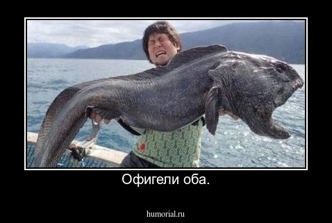 Офигели оба.