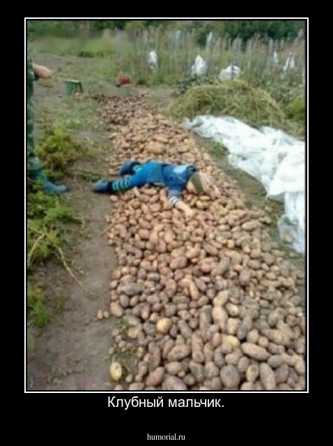 Клубный мальчик.