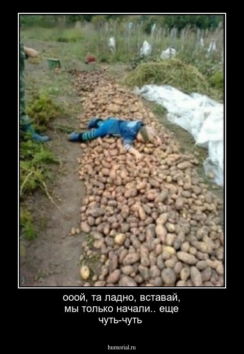 ооой, та ладно, вставай, мы только начали.. еще чуть-чуть 