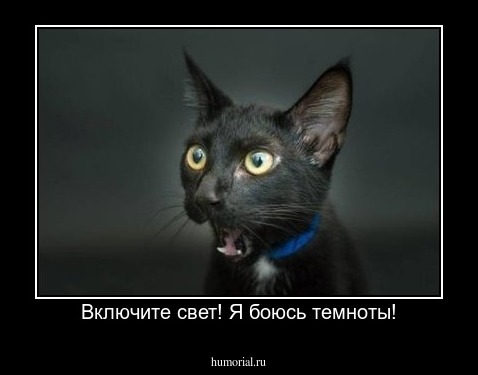 Включите свет! Я боюсь темноты!