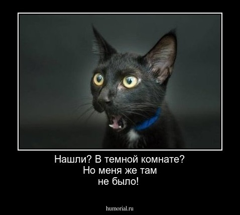 Нашли? В темной комнате? Но меня же там не было!