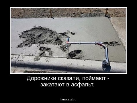 Дорожники сказали, поймают - закатают в асфальт.