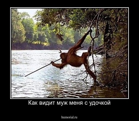 Как видит муж меня с удочкой