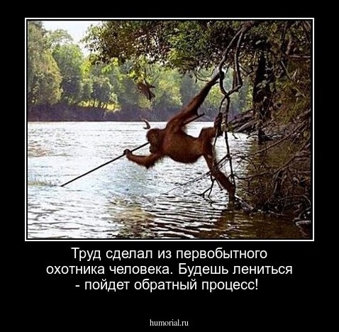 Труд сделал из первобытного охотника человека. Будешь лениться - пойдет обратный процесс!