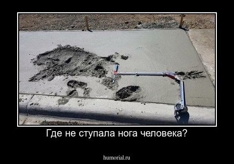 Где не ступала нога человека?