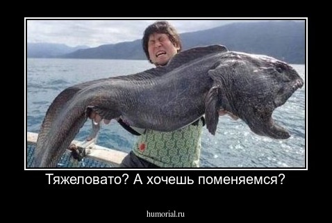 Тяжеловато? А хочешь поменяемся?