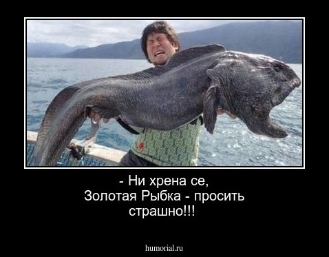- Ни хрена се, Золотая Рыбка - просить страшно!!!