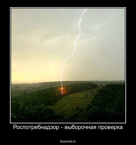 Роспотребнадзор - выборочная проверка