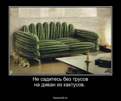 Не садитесь без трусов на диван из кактусов.