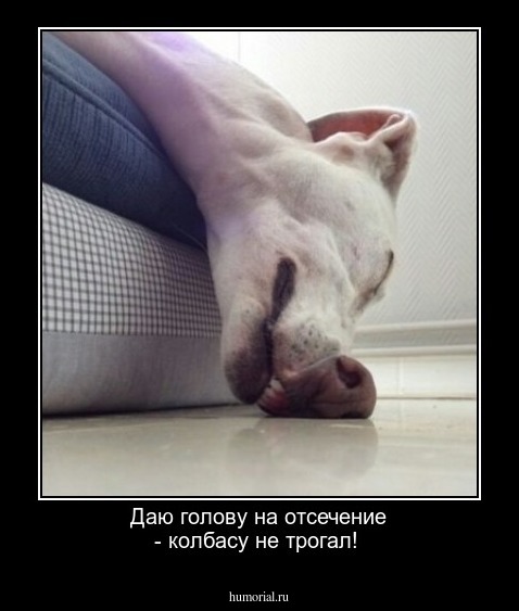 Даю голову на отсечение - колбасу не трогал!