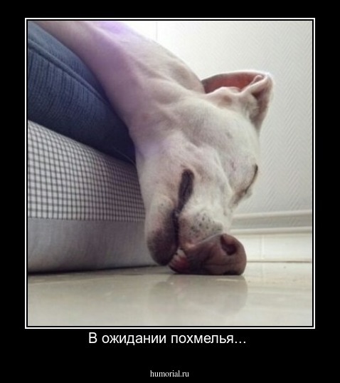 В ожидании похмелья... 