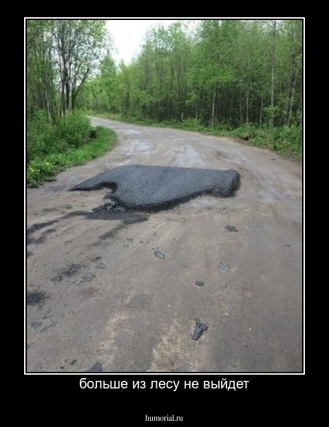 больше из лесу не выйдет