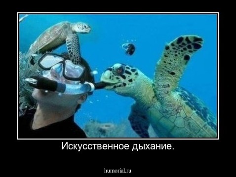 Искусственное дыхание.